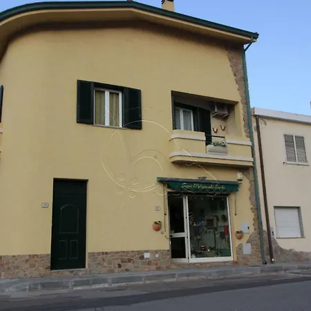 Rosmarino Giallo * Buggerru