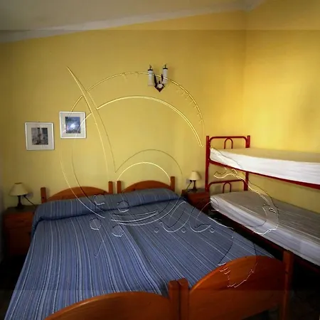 Rosmarino Giallo